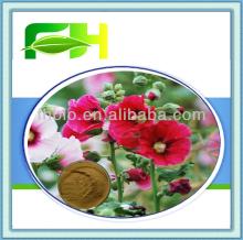 100% Natural  Marshmallow  P.E.( Althaea   Officinali s)