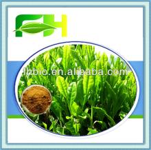 100% Natural Green Tea Polyphenol for Healthcare Supplement as Antioxidant,Antiaging