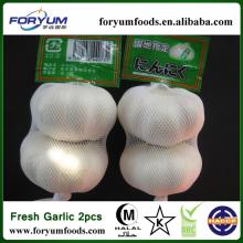 Chinese New Crop Garlic Suppliers
