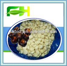 Supply Quick Frozen Water Chestnuts Dices in Bulk