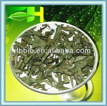 Best Selling Natural  Apocynum   Venetum  Tea