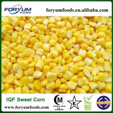 IQF frozen Corn