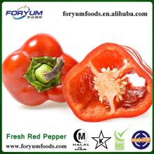Red  Bell   Pepper   Slice d