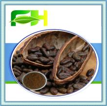 100% Natural Cocoa Bean Extract/ Theobromine10%-98%(HPLC)