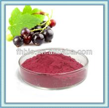 100% Natural Freeze Dired  Black   Currant   Powder 