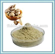 Natural Freeze  Dried   Shitake   Mushroom  Powder