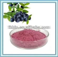 100% Natural Blueberry Juice Powder