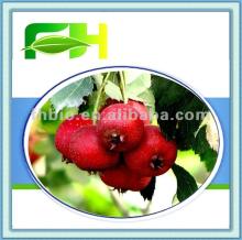 100% Natural Hawthorn Puree