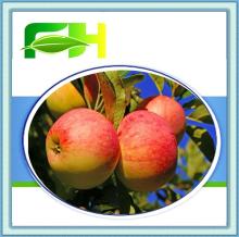 Manufacturers Supply Apple Granule Puree/Apple Granule