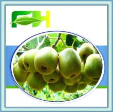 100% Natural  Kiwi  Concentrate  Puree / Kiwi   Puree  Concentrate