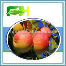Manufacturers Supply Apple Puree Concentrate
