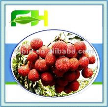 Manufacturers Supply Natural  Lychee   Puree  Concentrate