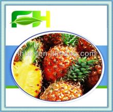 100% Natural  Pineapple   Puree  Brix 10.0