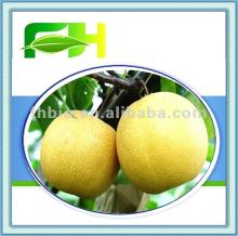 100% Natural Pear Puree