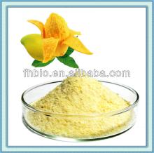 100% Natural Spray Dried  Mangifera  indica Linn Juice Powder