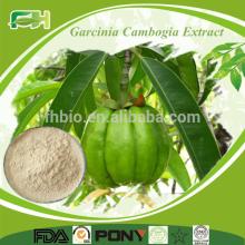 100% Natural Garcinia Cambogia Extract