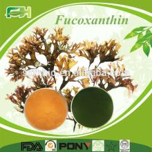 100% Natural Fucoxanthin/Laminaria Japonica Extract