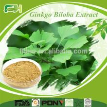 100% Natural Healthcare Supplement Ginkgo Biloba Extract