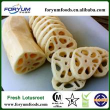 Sliced Lotus Root