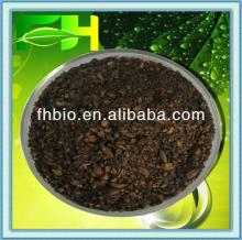 Best Selling Natural  Roasted   Barley  Tea