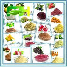 100% Natural Freeze Fruit Flavor Powder