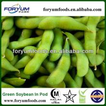 organic soybean