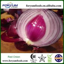 2013 New Crop Fresh Red Onion