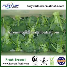 Green Frozen Broccoli