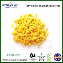 High Quality Frozen Wholesale Corn
