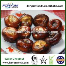  Frozen   Water   chestnut s Slice