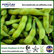 Chinese 2013 New Crop non gmo organic soybeans