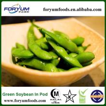 Chinese 2013 New Crop organic feed grade soybean
