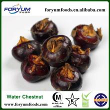 Water Chestnut Sliced