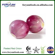  Frozen   Welsh   Onion 