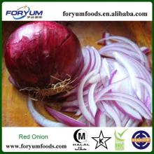 Fresh Onion Relish