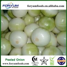 IQF Fresh Red Onion
