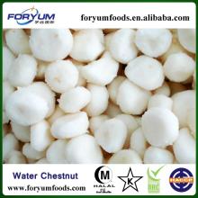 IQF Water Chestnut Dice
