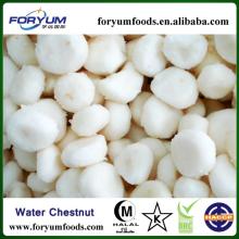  IQF   Water   Chestnut   Slices 