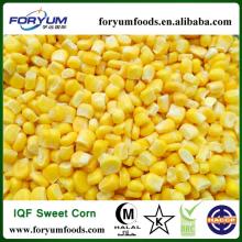 Healthyt Dried Sweet Corn