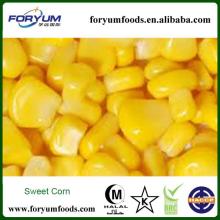 High Quality Low Price Organic Frozen Corn