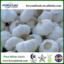Fresh Pure White Garlic 5.0cm Packed In Carton