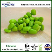 Frozen Soybean Kernel