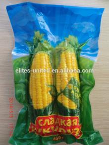  sweet   corn  on the  cob 