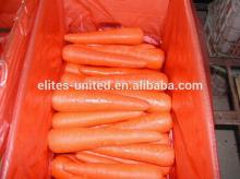 Fresh Carrot With New price