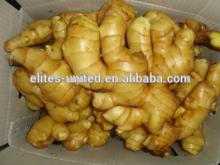 High Quality&Best Price 2014 Fresh Ginger