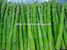 iqf frozen green asparagus