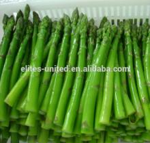  iqf   asparagus 