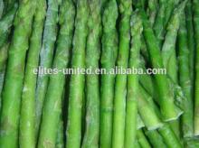 iqf green  asparagus  cut
