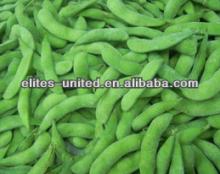  frozen   green   soybeans   frozen   green   edamame 