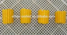  frozen   corn  on the cob